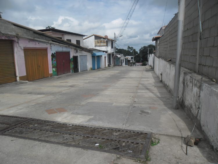Un nuevo rostro tiene la tierra de JGH con retiro de tarantines de la entrada principal