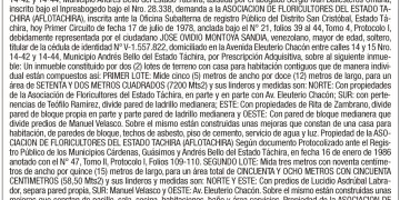 cartel Hayde sandoval