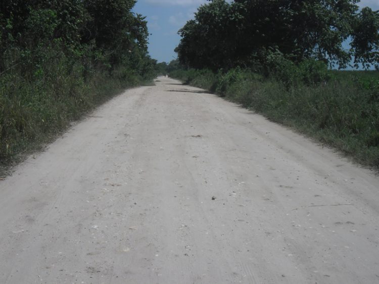  Huecos y maleza en la vía a la Ceiba.