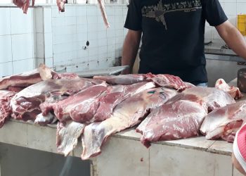 Laidy Gómez: “Ocupación de  mataderos municipales pone en riesgo la producción y generará escasez”
