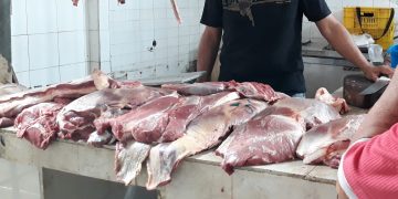 Laidy Gómez: “Ocupación de  mataderos municipales pone en riesgo la producción y generará escasez”