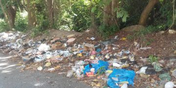 La recolección de basura en  áreas públicas debe ser prioridad