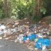La recolección de basura en  áreas públicas debe ser prioridad