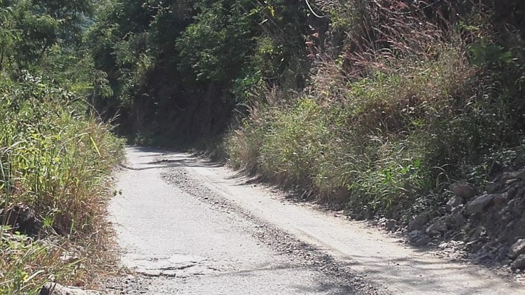 Carreteras rurales de Trujillo necesitan más que una cuadrilla para cortar el monte