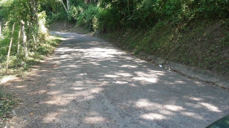Carreteras rurales de Trujillo necesitan más que una cuadrilla para cortar el monte