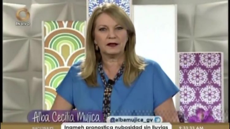 Resumen /Cotillón Farandulero