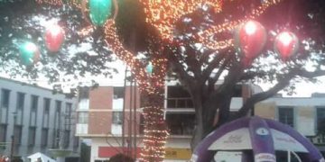 Diciembre: mes de los nuevos propósitos y del encuentro