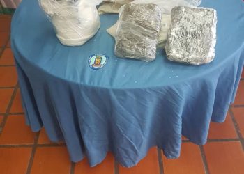 PoliSanCristóbal incautó 2 kilos de droga en el Terminal de Pasajeros