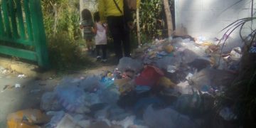 Aseo urbano no actuó y la comunidad decidió