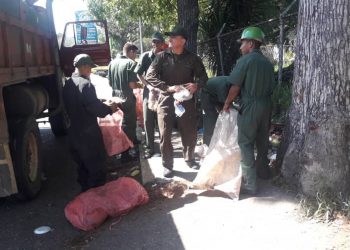 Efectivos del Ejército recogen la basura en diversos  sectores de San Cristóbal