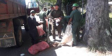 Efectivos del Ejército recogen la basura en diversos  sectores de San Cristóbal