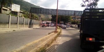 Aparecieron los perniles pero  un “kilito” para cada familia