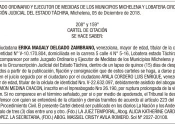 Carteles Erika Magaly Delgado Zambrano