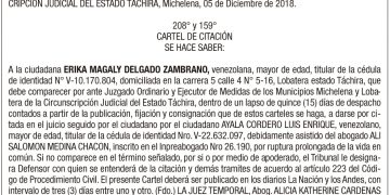 Carteles Erika Magaly Delgado Zambrano