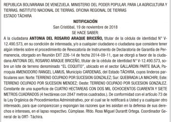 Cartel : Antonia del Rosario Araque Briceño