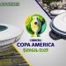 El 24 de enero será el sorteo  de la Copa América Brasil 2019