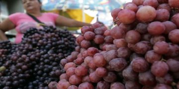 Precio de uvas aumentó en 244.344,4% en el 2018