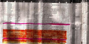 Vivitos se aprovechan de insumos asignados a través de Misión Transporte