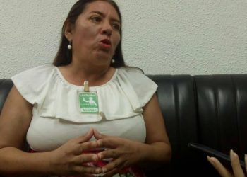 Luz del Valle Castillo: “En los próximos días vamos a ver a Guaidó huyendo del país”
