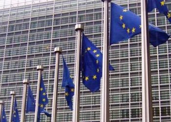 Unión Europea creó grupo de contacto para Venezuela