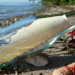 Buscaron a la autora de un mensaje lanzando al mar en una botella hace 17 años y la encontraron