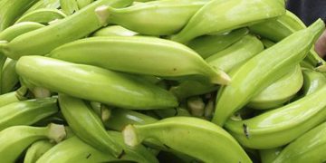 En el Eje Panamericano sigue mandando la especulación