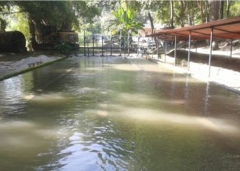 Zonas de Valera y Carvajal padecen sequía y bajones interrumpen servicio de agua