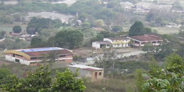 Fundación La Salle reactivará área de extensión – producción