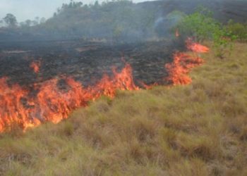 Cielo boconés se oscurece por humo de incendios