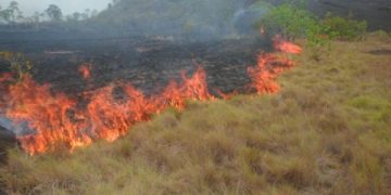 Cielo boconés se oscurece por humo de incendios
