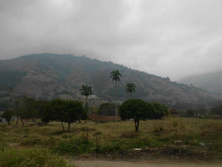 Cielo boconés se oscurece por humo de incendios
