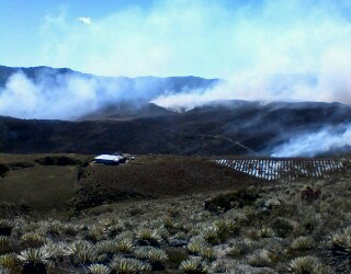 Manos criminales provocan incendios en parroquias foráneas