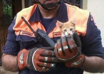Muere joven socorrista  tachirense  en choque de ambulancia en Perú