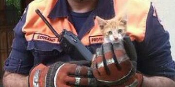 Muere joven socorrista  tachirense  en choque de ambulancia en Perú