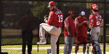 Brillando en la primavera