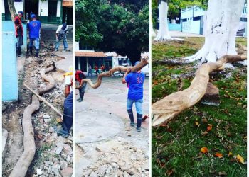 Realizan mejoras y obras de arte en la plaza Bolívar de Colón