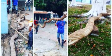 Realizan mejoras y obras de arte en la plaza Bolívar de Colón