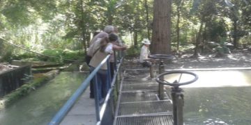 Apagones afectan el servicio de agua en Valera