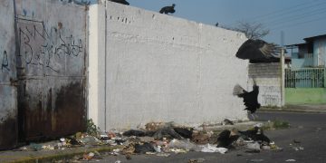 Cualquier lugar sirve para depositar la basura y demás pestilencias ante ausencia de camiones recolectores