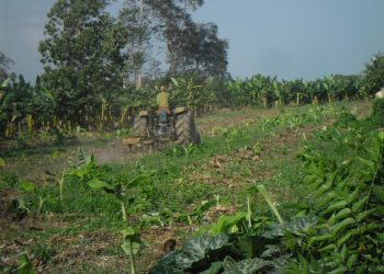 Cincuenta y nueve años de la Ley de Reforma Agraria anulada por la Revolución