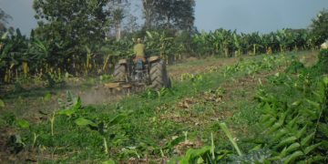 Cincuenta y nueve años de la Ley de Reforma Agraria anulada por la Revolución