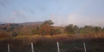 Autoridades dicen que atacan el incendio en carretera vieja Valera-Motatán