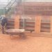 Realizan trabajos de mejoramiento al Estadio “Táchira”