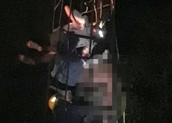 Electrocutado perece joven cuando robaba luminaria en parque Bolívar