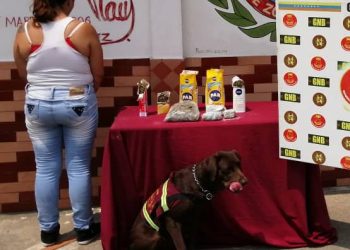 Perros adiestrados ayudan a la Guardia  al decomiso de drogas en las alcabalas