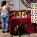 Perros adiestrados ayudan a la Guardia  al decomiso de drogas en las alcabalas