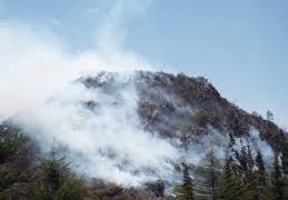 En Flor de Patria la gente no aguanta tanto humo  