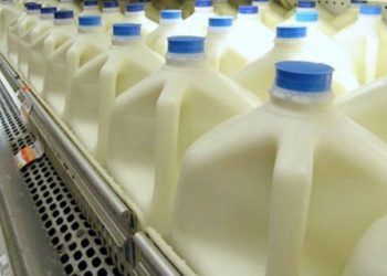 30% de la producción láctea se perdió por apagón nacional
