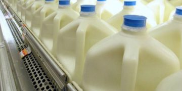 30% de la producción láctea se perdió por apagón nacional