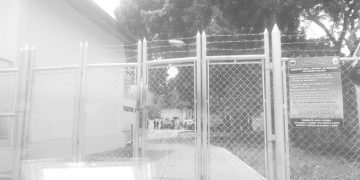 Lo matan a tiros por el carro